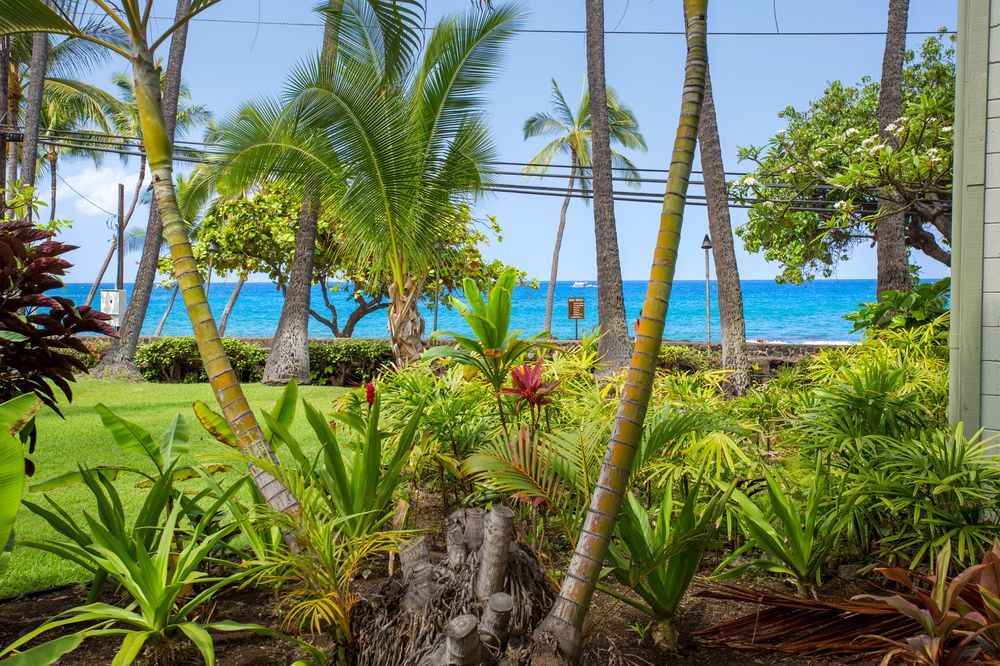 Vacation Condos In Kona ไคลัวโคนา ภายนอก รูปภาพ